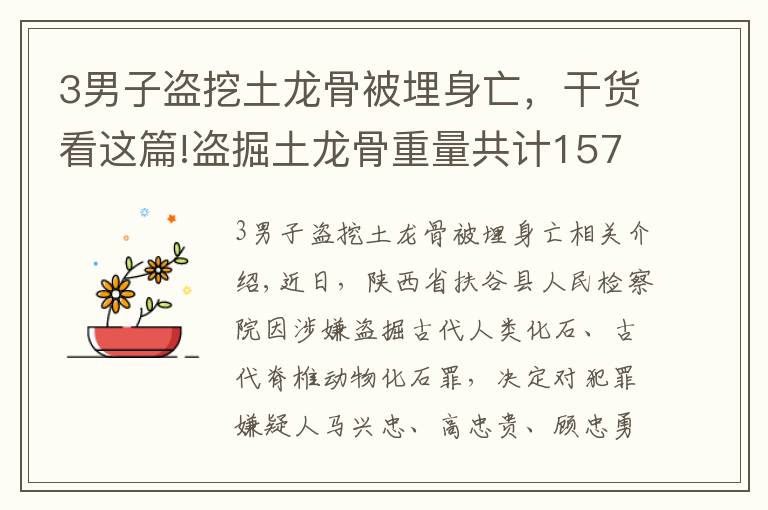 3男子盜挖土龍骨被埋身亡，干貨看這篇!盜掘土龍骨重量共計(jì)157公斤，府谷縣檢察院對馬興忠等7人批準(zhǔn)逮捕