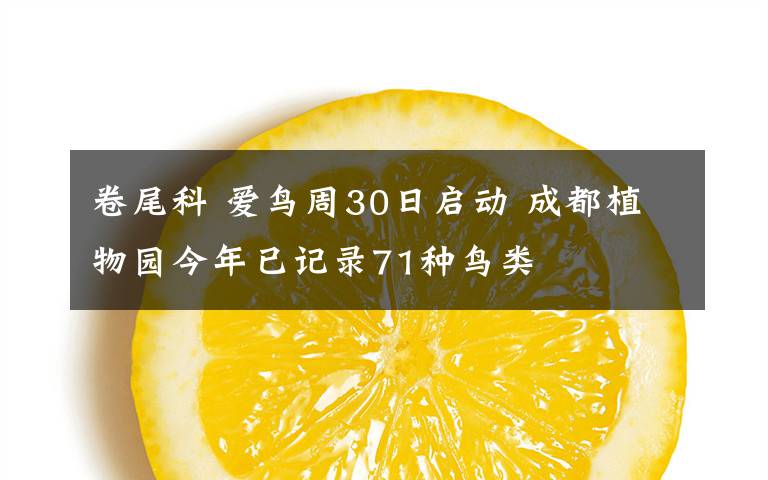 卷尾科 愛鳥周30日啟動 成都植物園今年已記錄71種鳥類