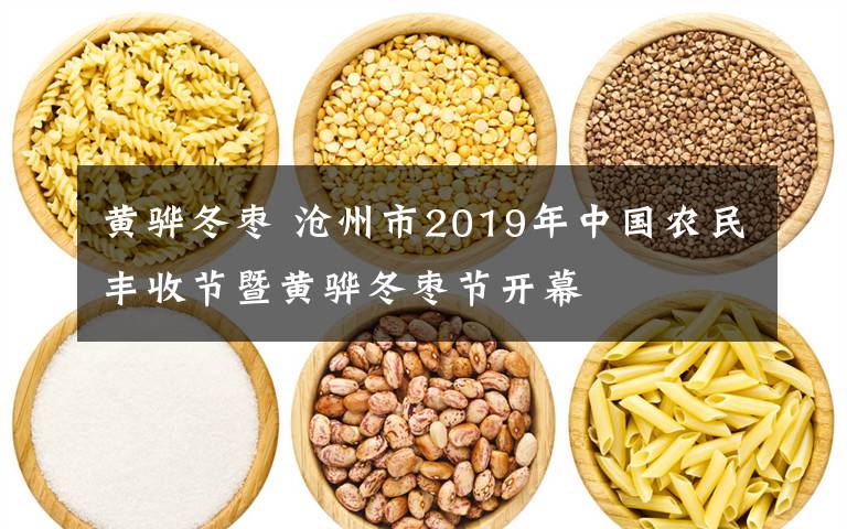 黃驊冬棗 滄州市2019年中國(guó)農(nóng)民豐收節(jié)暨黃驊冬棗節(jié)開(kāi)幕