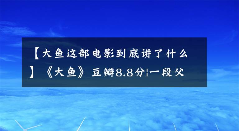 【大魚這部電影到底講了什么】《大魚》豆瓣8.8分|一段父子愛情的救贖，童話人生的傳承