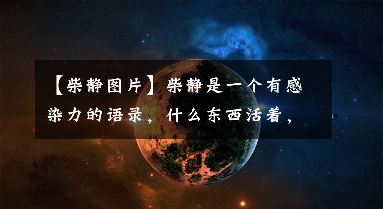 【柴靜圖片】柴靜是一個(gè)有感染力的語(yǔ)錄，什么東西活著，讓世界警覺！