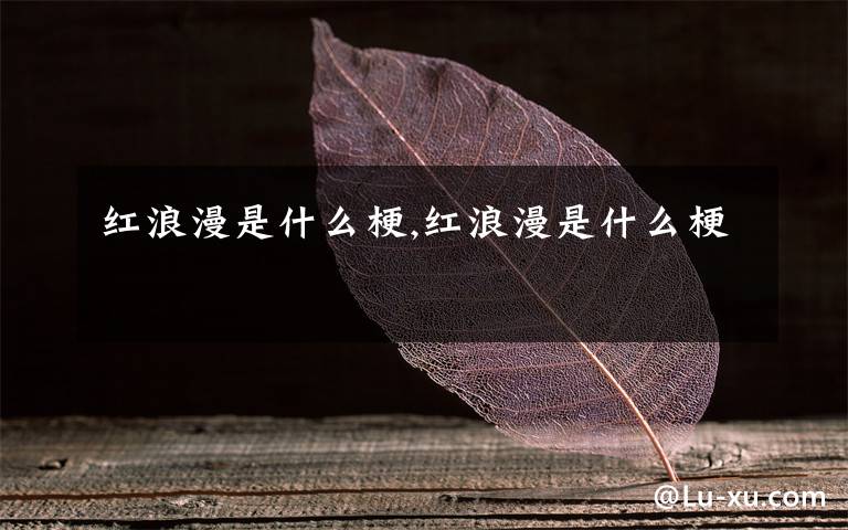 紅浪漫是什么梗,紅浪漫是什么梗