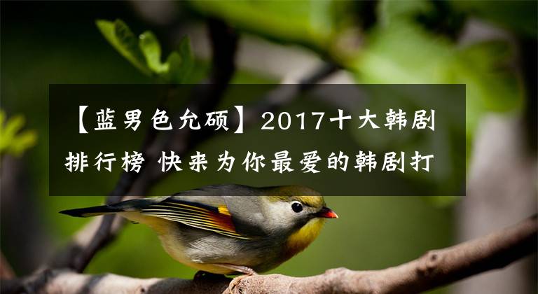 【藍男色允碩】2017十大韓劇排行榜 快來為你最愛的韓劇打call吧