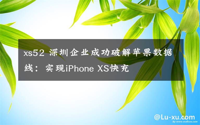 xs52 深圳企業(yè)成功破解蘋果數(shù)據(jù)線：實現(xiàn)iPhone XS快充