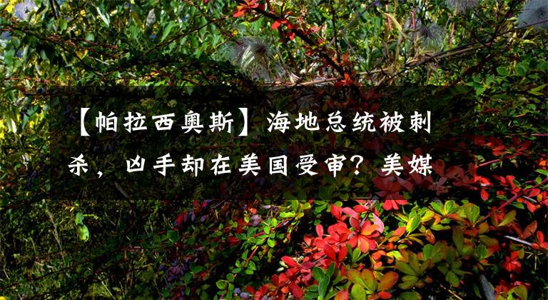 【帕拉西奧斯】海地總統(tǒng)被刺殺，兇手卻在美國受審？美媒：美國干預海地不是一天兩天了