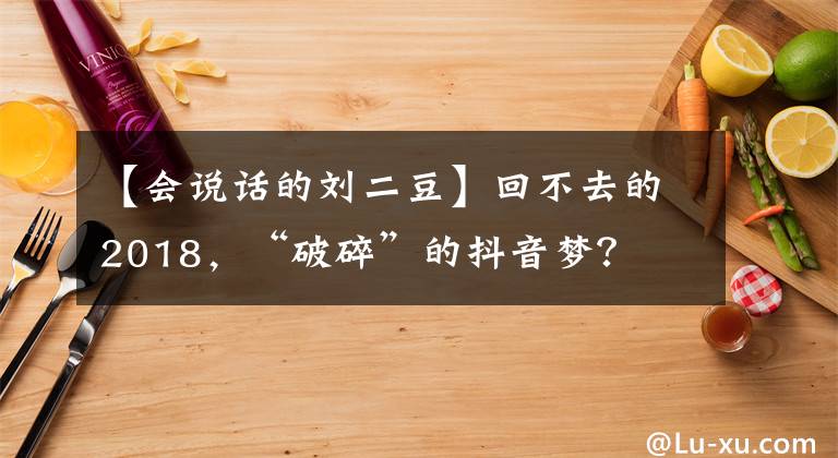 【會說話的劉二豆】回不去的2018，“破碎”的抖音夢？