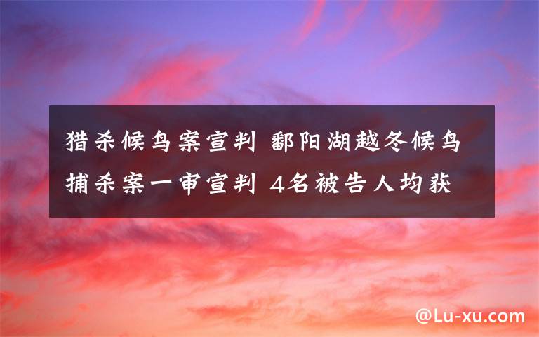 獵殺候鳥案宣判 鄱陽湖越冬候鳥捕殺案一審宣判 4名被告人均獲刑