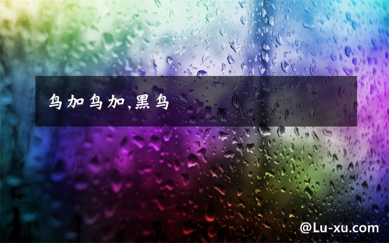 鳥(niǎo)加鳥(niǎo)加,黑鳥(niǎo)