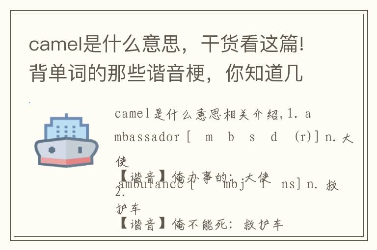 camel是什么意思，干貨看這篇!背單詞的那些諧音梗，你知道幾個(gè)？