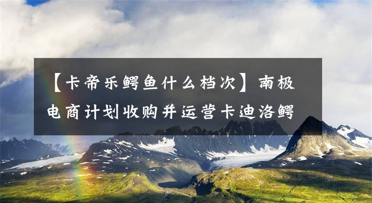 【卡帝樂鱷魚什么檔次】南極電商計劃收購并運營卡迪洛鱷魚品牌。