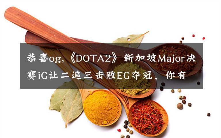 恭喜og,《DOTA2》新加坡Major決賽iG讓二追三擊敗EG奪冠，你有什么想說的？