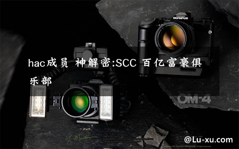 hac成員 神解密:SCC 百億富豪俱樂部