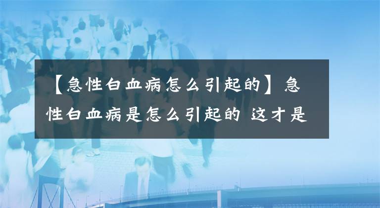 【急性白血病怎么引起的】急性白血病是怎么引起的 這才是其根本原因