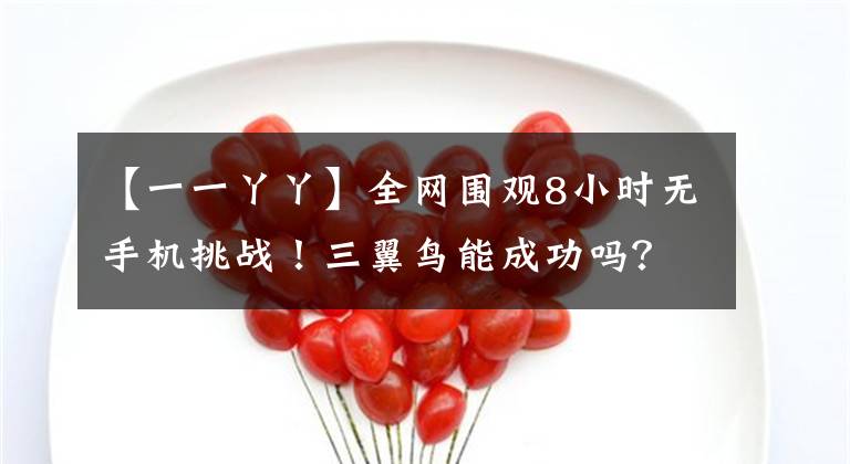 【一一丫丫】全網(wǎng)圍觀8小時無手機挑戰(zhàn)！三翼鳥能成功嗎？