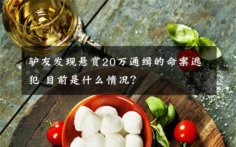 驢友發(fā)現(xiàn)懸賞20萬通緝的命案逃犯 目前是什么情況？