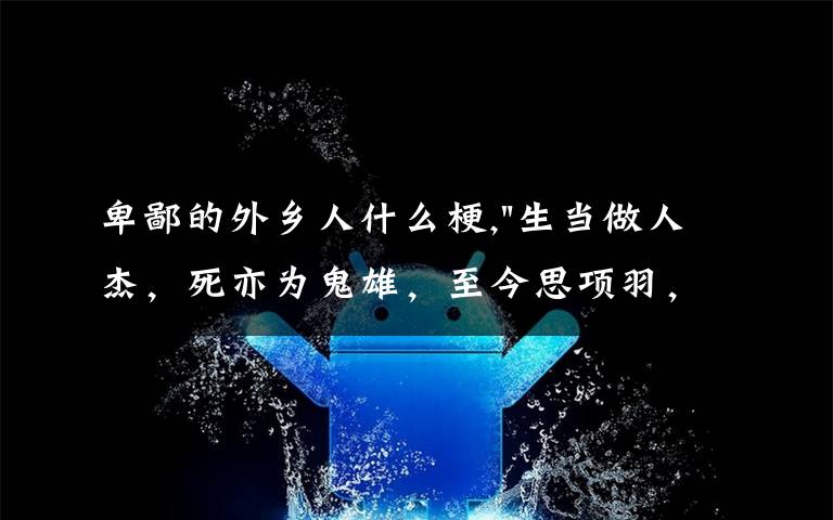 卑鄙的外鄉(xiāng)人什么梗,