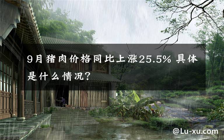 9月豬肉價(jià)格同比上漲25.5% 具體是什么情況？