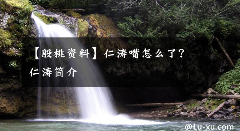 【殷桃資料】仁濤嘴怎么了？仁濤簡(jiǎn)介