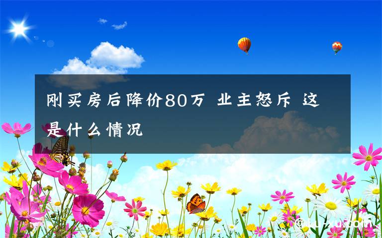 剛買房后降價80萬 業(yè)主怒斥 這是什么情況