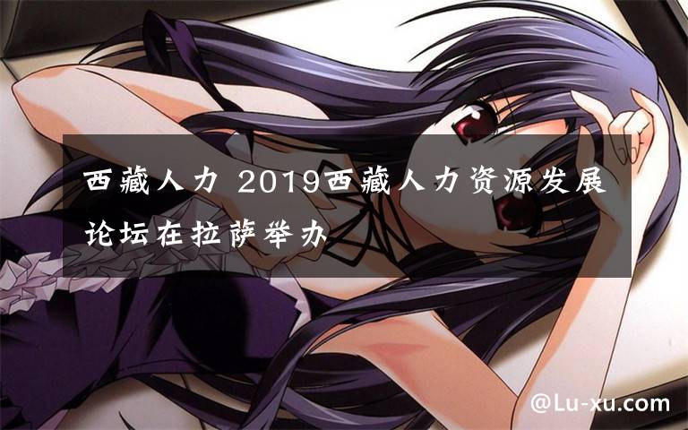 西藏人力 2019西藏人力資源發(fā)展論壇在拉薩舉辦