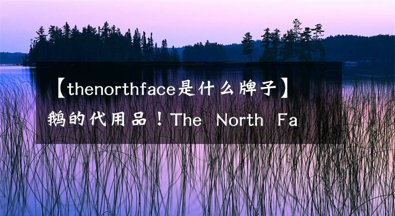 【thenorthface是什么牌子】鵝的代用品！The  North  Face北Mount  Logan羽絨大衣