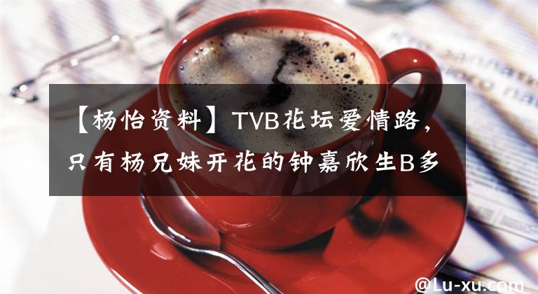 【楊怡資料】TVB花壇愛(ài)情路，只有楊兄妹開(kāi)花的鐘嘉欣生B多詩(shī)徐資產(chǎn)在尋找愛(ài)情。