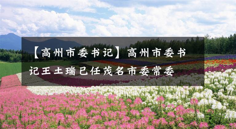 【高州市委書記】高州市委書記王土瑞已任茂名市委常委