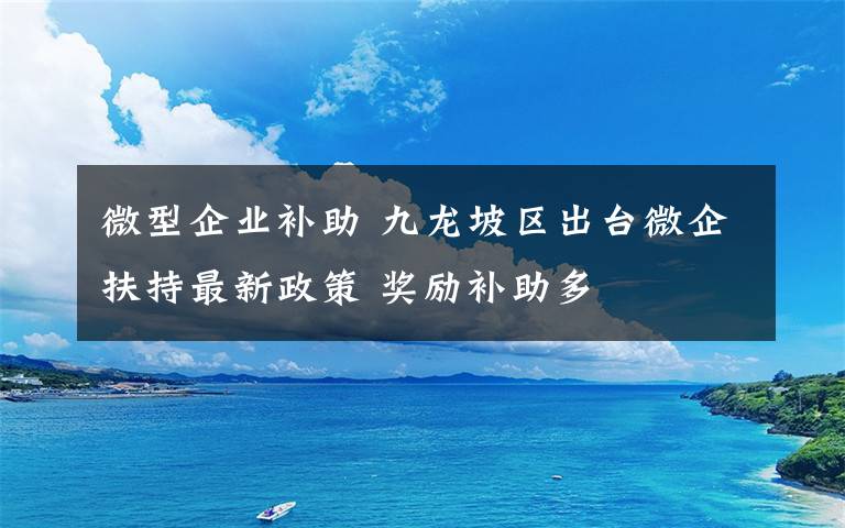 微型企業(yè)補助 九龍坡區(qū)出臺微企扶持最新政策 獎勵補助多