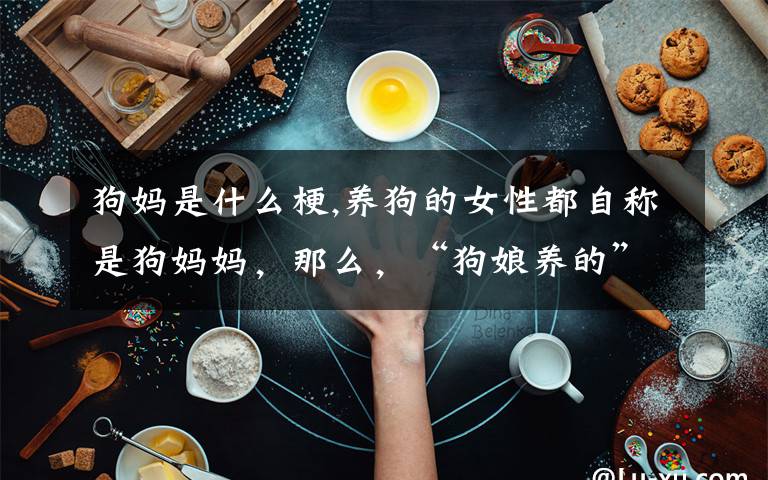 狗媽是什么梗,養(yǎng)狗的女性都自稱是狗媽媽，那么，“狗娘養(yǎng)的”還是罵人的話嗎？