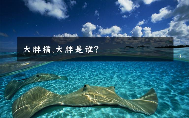 大胖橘,大胖是誰(shuí)？