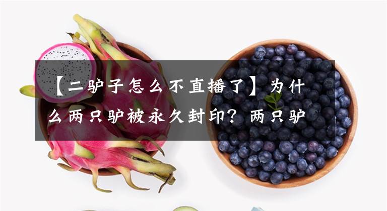 【二驢子怎么不直播了】為什么兩只驢被永久封印？兩只驢子冒犯了誰？