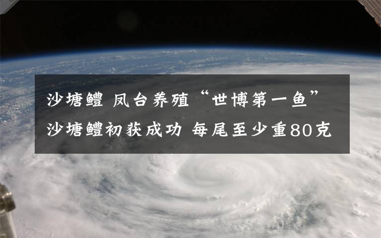 沙塘鱧 鳳臺養(yǎng)殖“世博第一魚”沙塘鱧初獲成功 每尾至少重80克