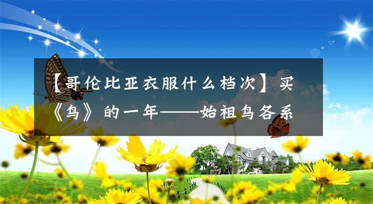 【哥倫比亞衣服什么檔次】買《鳥》的一年——始祖鳥各系列之我見