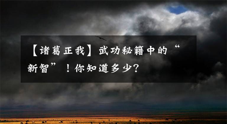 【諸葛正我】武功秘籍中的“新智”！你知道多少？