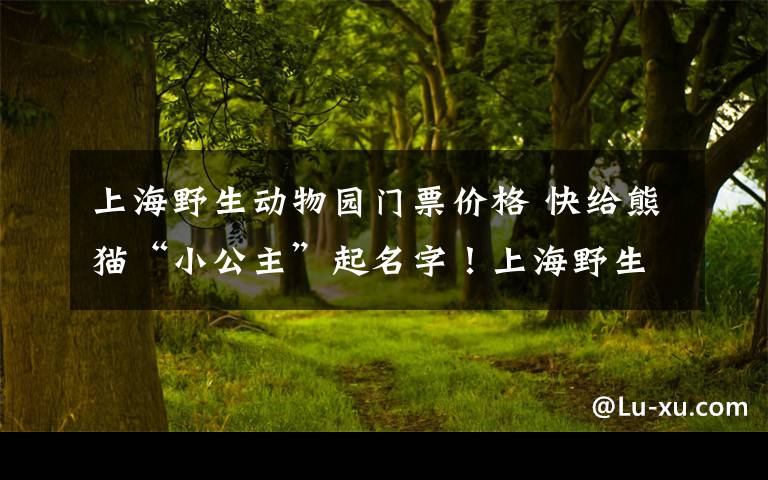 上海野生動物園門票價格 快給熊貓“小公主”起名字！上海野生動物園還有門票和玩偶送