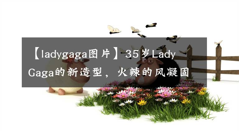 【ladygaga圖片】35歲Lady  Gaga的新造型，火辣的風(fēng)凝固了韓風(fēng)，網(wǎng)友：褲子扣子沒扣上嗎？