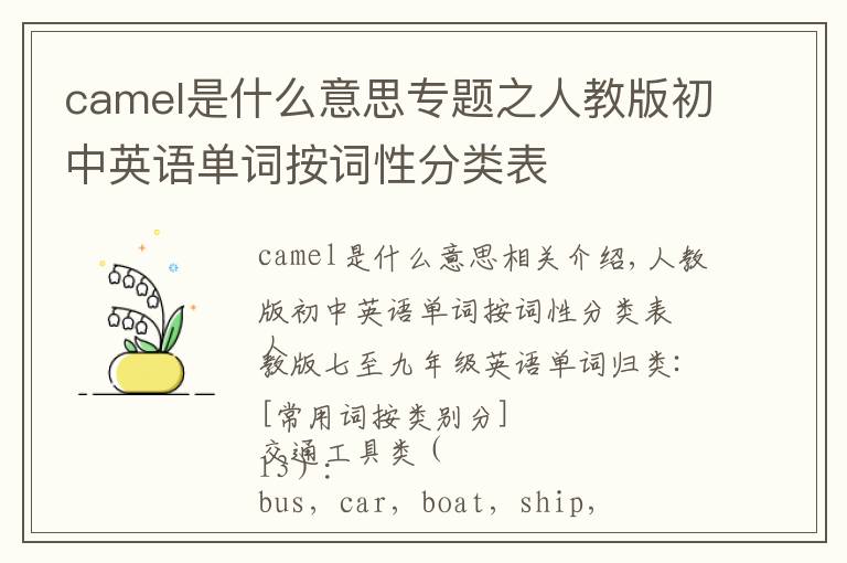 camel是什么意思專題之人教版初中英語單詞按詞性分類表