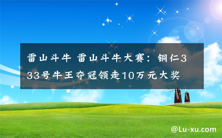 雷山斗牛 雷山斗牛大賽：銅仁333號牛王奪冠領(lǐng)走10萬元大獎