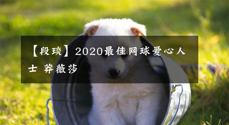 【段琰】2020最佳網(wǎng)球愛心人士 莽薇莎