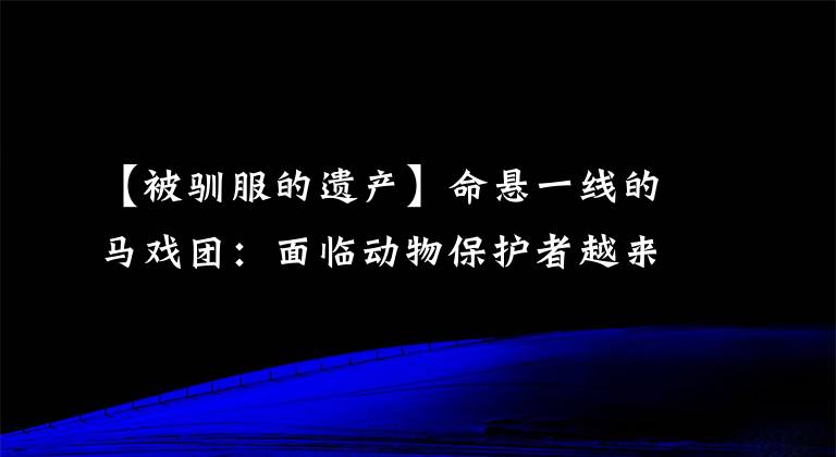 【被馴服的遺產】命懸一線的馬戲團：面臨動物保護者越來越多的舉報