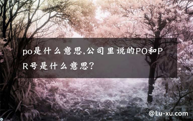 po是什么意思,公司里說的PO和PR號是什么意思？