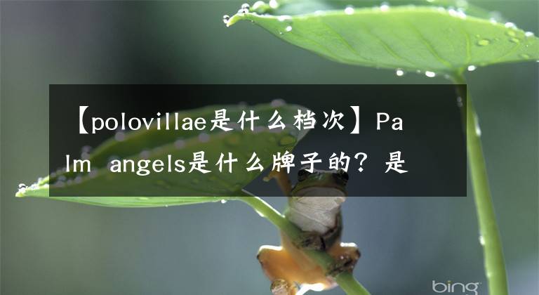 【polovillae是什么檔次】Palm  angels是什么牌子的？是意大利高端潮流服裝品牌。