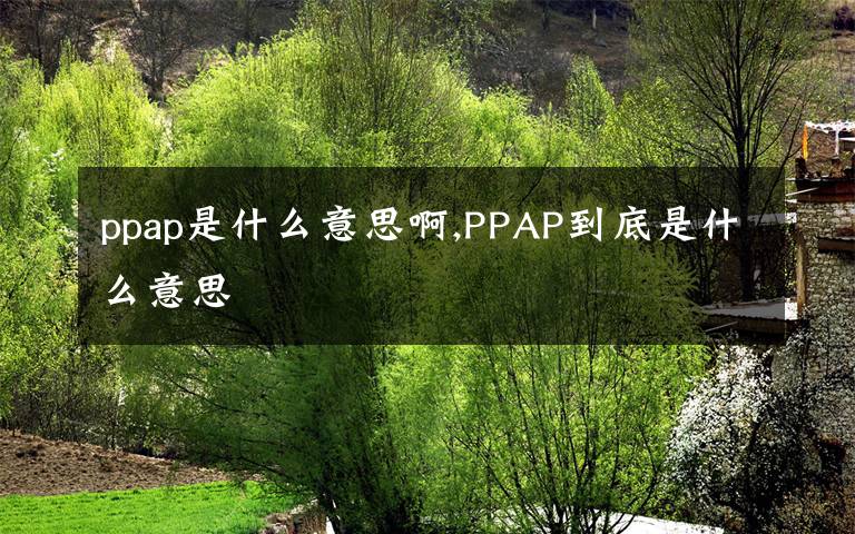 ppap是什么意思啊,PPAP到底是什么意思