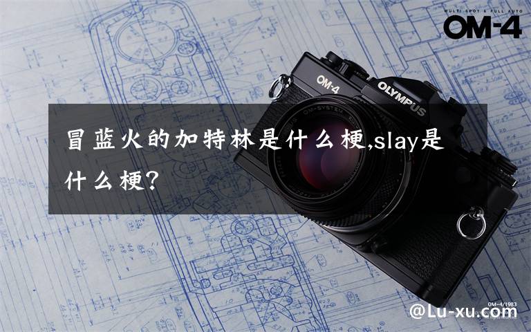 冒藍(lán)火的加特林是什么梗,slay是什么梗？