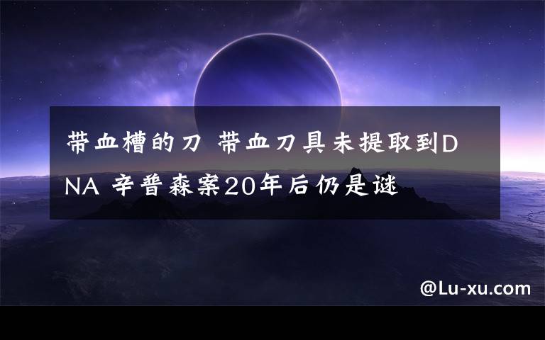 帶血槽的刀 帶血刀具未提取到DNA 辛普森案20年后仍是謎