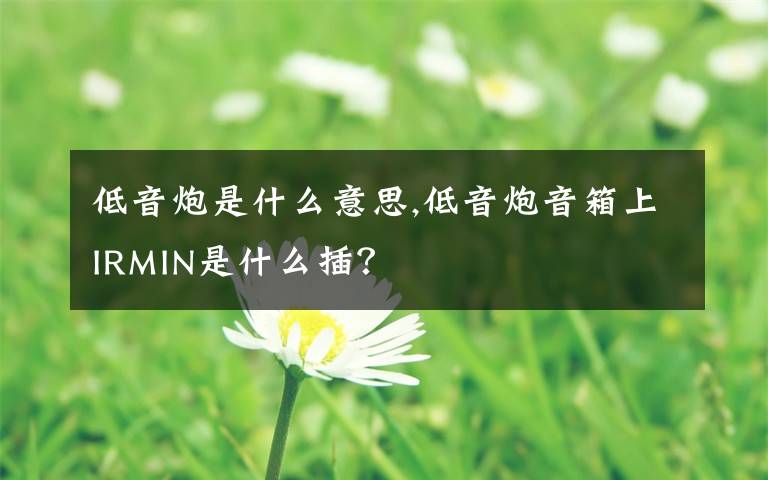 低音炮是什么意思,低音炮音箱上IRMIN是什么插？