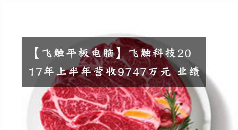 【飛觸平板電腦】飛觸科技2017年上半年營收9747萬元 業(yè)績虧損146萬元