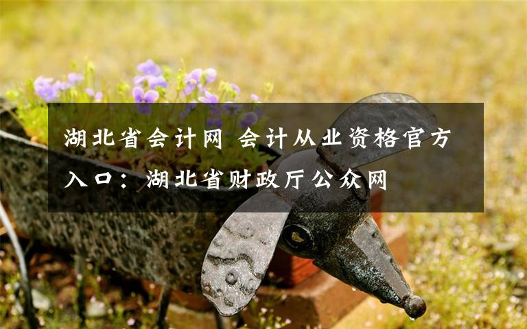 湖北省會計網(wǎng) 會計從業(yè)資格官方入口：湖北省財政廳公眾網(wǎng)