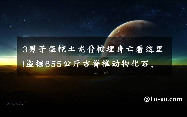 3男子盜挖土龍骨被埋身亡看這里!盜掘655公斤古脊椎動(dòng)物化石，檢察院對(duì)劉忠惠等人批準(zhǔn)逮捕