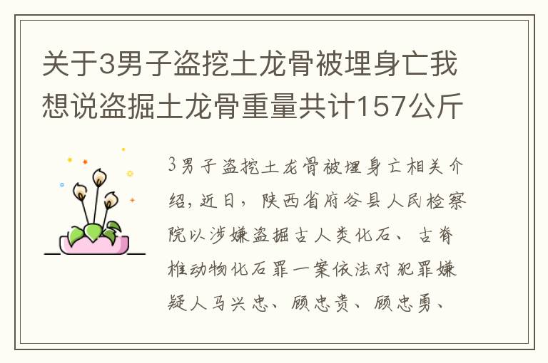 關于3男子盜挖土龍骨被埋身亡我想說盜掘土龍骨重量共計157公斤，府谷縣檢察院對馬興忠等7人批準逮捕